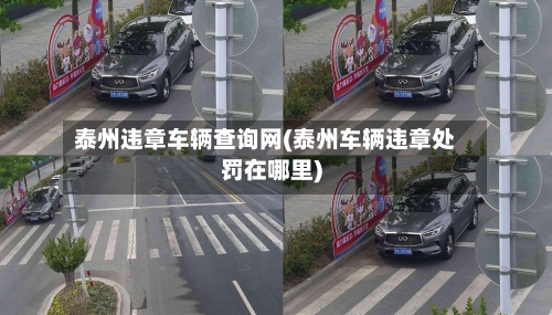 泰州违章车辆查询网(泰州车辆违章处罚在哪里)-第2张图片