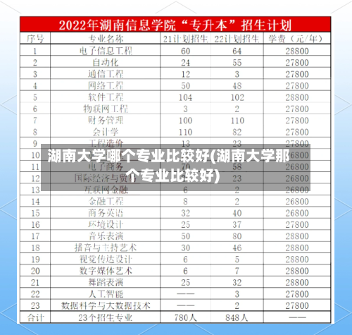 湖南大学哪个专业比较好(湖南大学那个专业比较好)-第2张图片