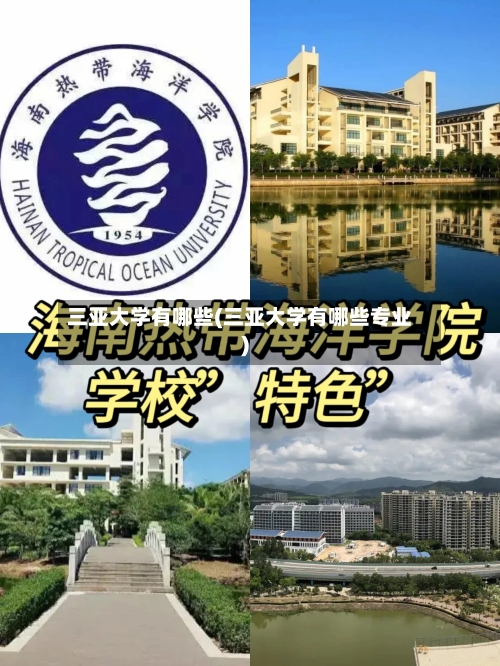 三亚大学有哪些(三亚大学有哪些专业)