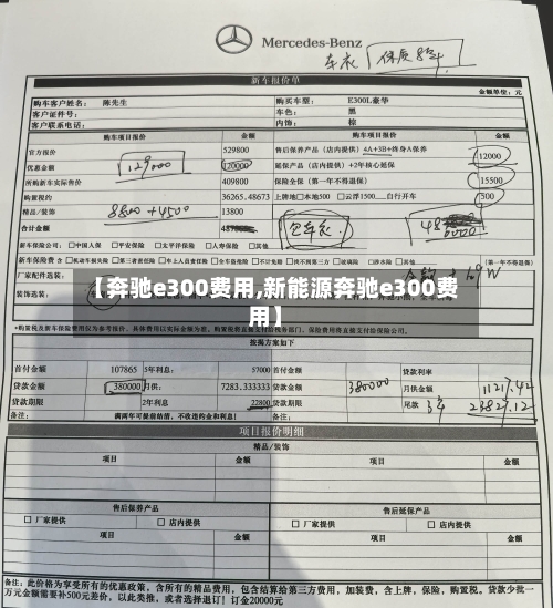 【奔驰e300费用,新能源奔驰e300费用】