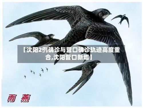 【沈阳2例确诊与营口确诊轨迹高度重合,沈阳营口新增】