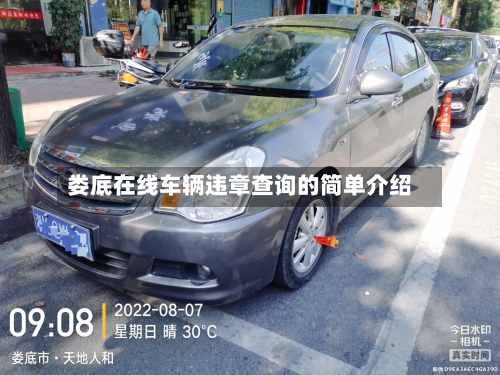 娄底在线车辆违章查询的简单介绍-第3张图片