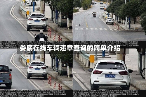 娄底在线车辆违章查询的简单介绍