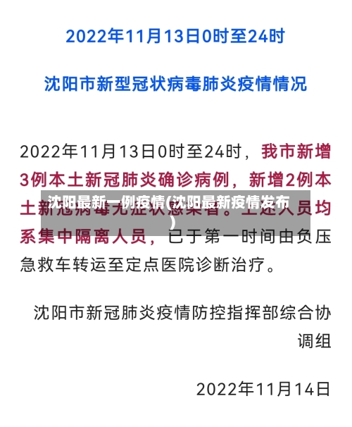 沈阳最新一例疫情(沈阳最新疫情发布)
