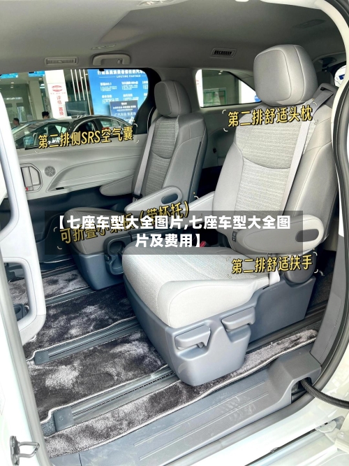 【七座车型大全图片,七座车型大全图片及费用】-第2张图片