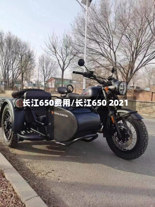 长江650费用/长江650 2021-第1张图片