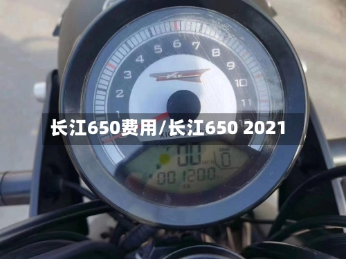 长江650费用/长江650 2021-第2张图片