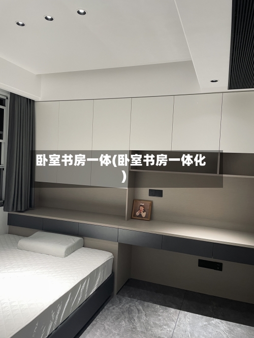 卧室书房一体(卧室书房一体化)-第3张图片