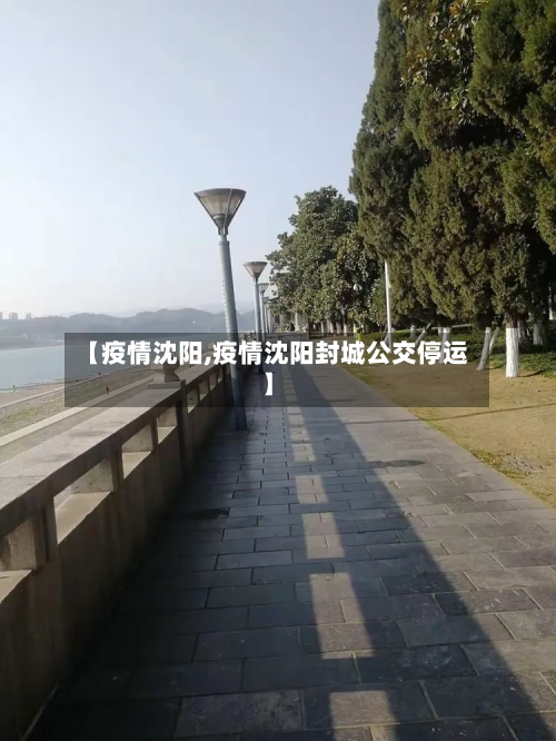 【疫情沈阳,疫情沈阳封城公交停运】