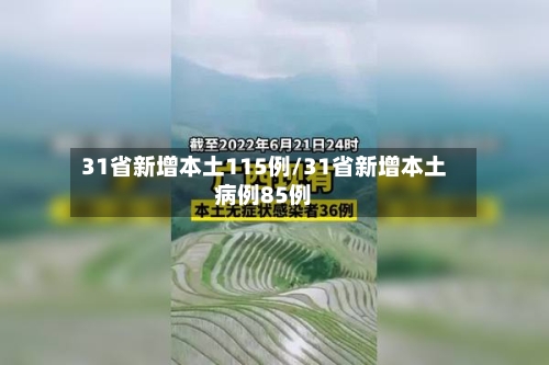 31省新增本土115例/31省新增本土病例85例