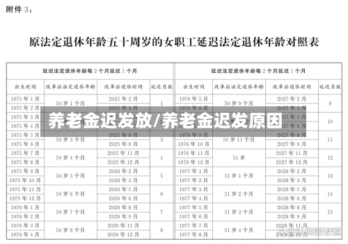 养老金迟发放/养老金迟发原因-第2张图片