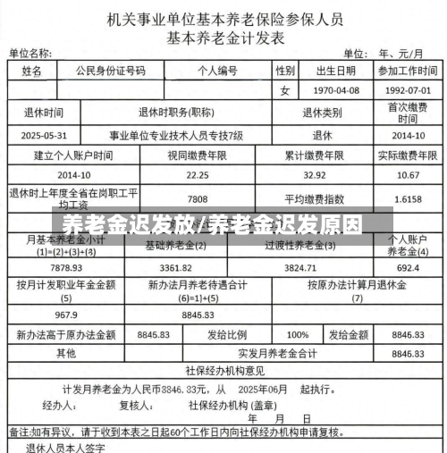 养老金迟发放/养老金迟发原因