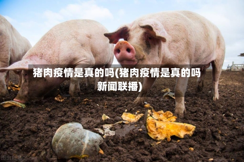 猪肉疫情是真的吗(猪肉疫情是真的吗新闻联播)-第3张图片