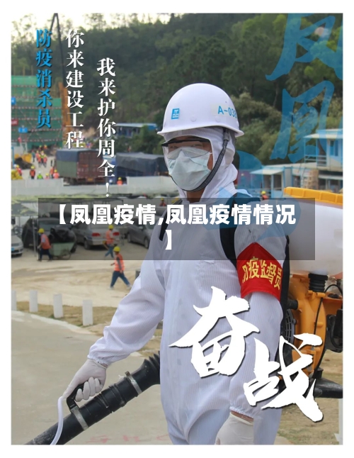 【凤凰疫情,凤凰疫情情况】-第3张图片