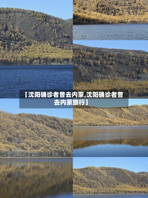 【沈阳确诊者曾去内蒙,沈阳确诊者曾去内蒙旅行】-第2张图片