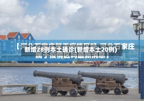 新增28例本土确诊(新增本土20例)-第1张图片