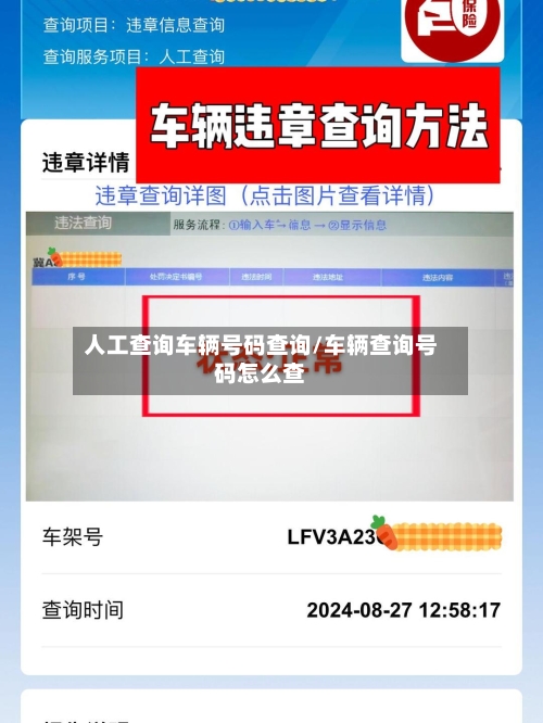 人工查询车辆号码查询/车辆查询号码怎么查-第3张图片