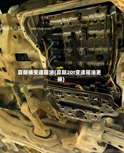 夏朗换变速箱油(夏朗20t变速箱油更换)-第2张图片