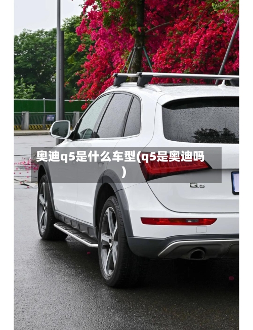 奥迪q5是什么车型(q5是奥迪吗)-第2张图片