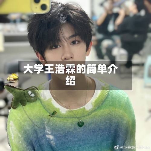大学王浩霖的简单介绍