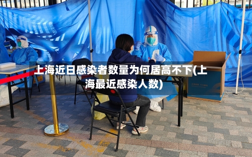 上海近日感染者数量为何居高不下(上海最近感染人数)-第3张图片