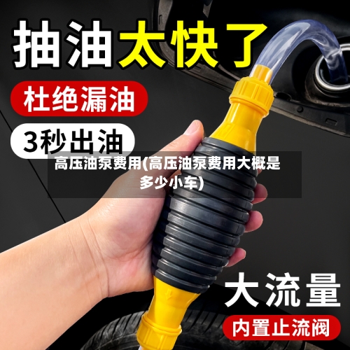 高压油泵费用(高压油泵费用大概是多少小车)-第2张图片