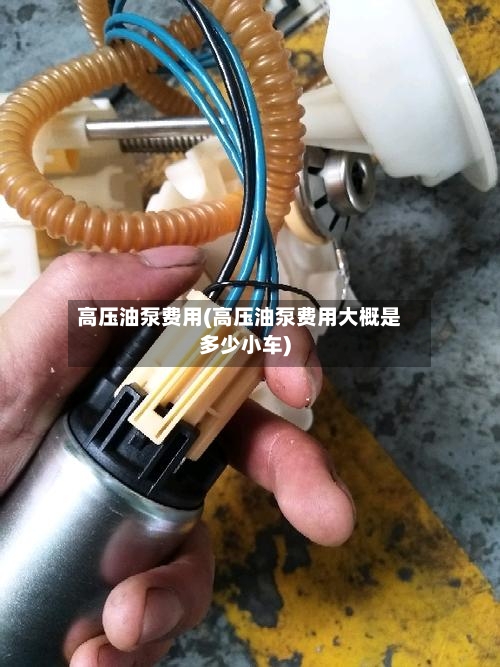 高压油泵费用(高压油泵费用大概是多少小车)-第1张图片