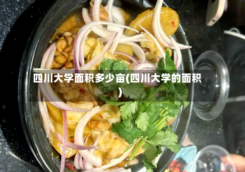 四川大学面积多少亩(四川大学的面积)-第1张图片