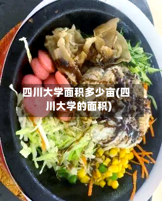 四川大学面积多少亩(四川大学的面积)-第2张图片