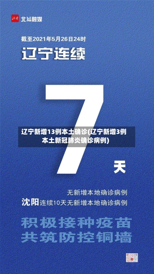 辽宁新增13例本土确诊(辽宁新增3例本土新冠肺炎确诊病例)-第2张图片