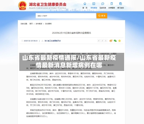 山东省最新疫情通报/山东省最新疫情最新消息新增病例在哪-第3张图片