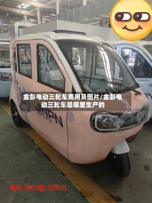 金彭电动三轮车费用及图片/金彭电动三轮车是哪里生产的-第1张图片
