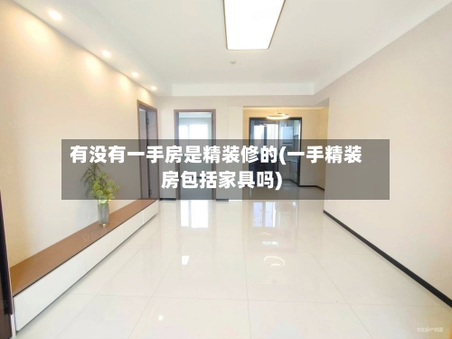 有没有一手房是精装修的(一手精装房包括家具吗)