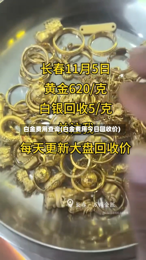白金费用查询(白金费用今日回收价)