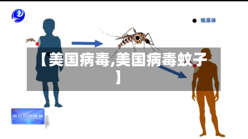 【美国病毒,美国病毒蚊子】-第1张图片