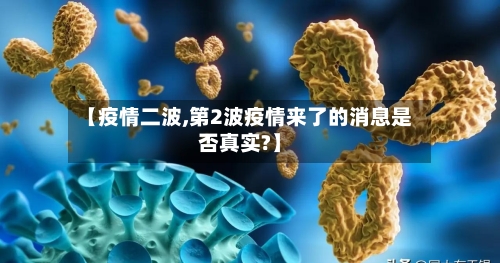 【疫情二波,第2波疫情来了的消息是否真实?】