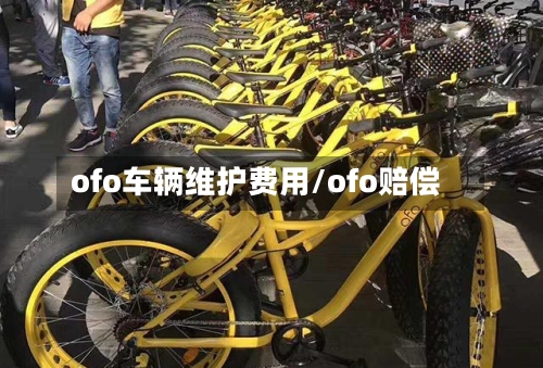 ofo车辆维护费用/ofo赔偿-第1张图片