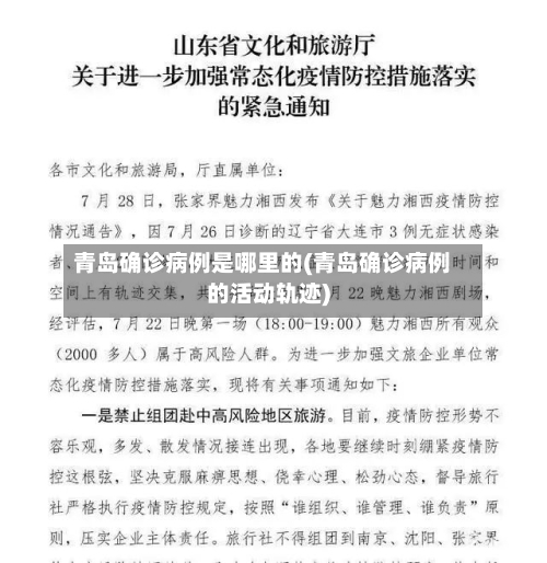 青岛确诊病例是哪里的(青岛确诊病例的活动轨迹)-第2张图片
