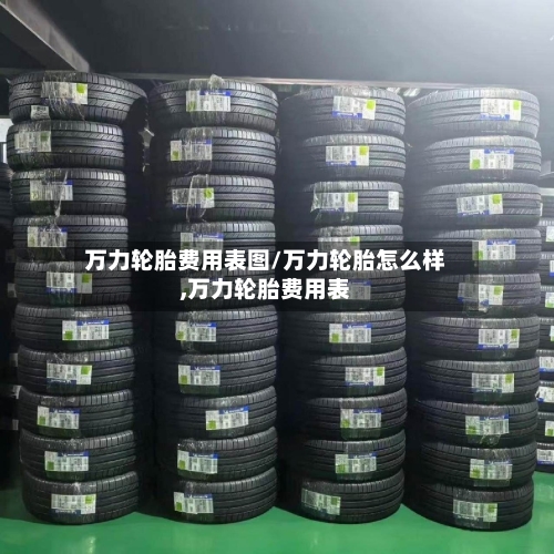 万力轮胎费用表图/万力轮胎怎么样,万力轮胎费用表-第2张图片