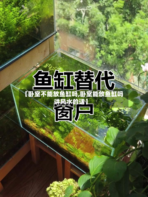 【卧室不能放鱼缸吗,卧室能放鱼缸吗讲风水的话】-第1张图片