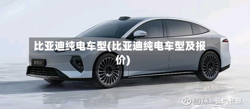 比亚迪纯电车型(比亚迪纯电车型及报价)-第1张图片