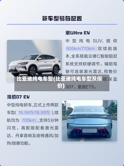 比亚迪纯电车型(比亚迪纯电车型及报价)-第2张图片