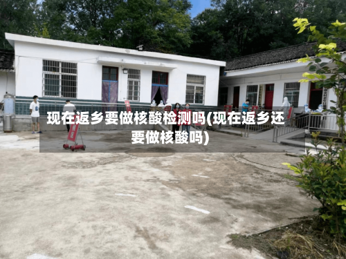 现在返乡要做核酸检测吗(现在返乡还要做核酸吗)-第1张图片