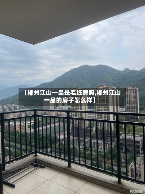 【郴州江山一品是毛坯房吗,郴州江山一品的房子怎么样】-第1张图片