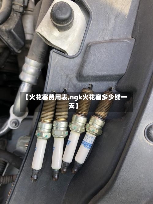 【火花塞费用表,ngk火花塞多少钱一支】-第2张图片