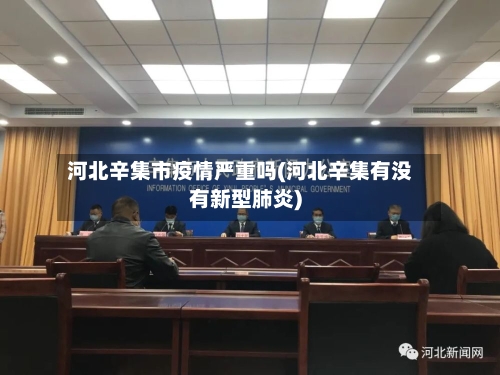 河北辛集市疫情严重吗(河北辛集有没有新型肺炎)-第1张图片