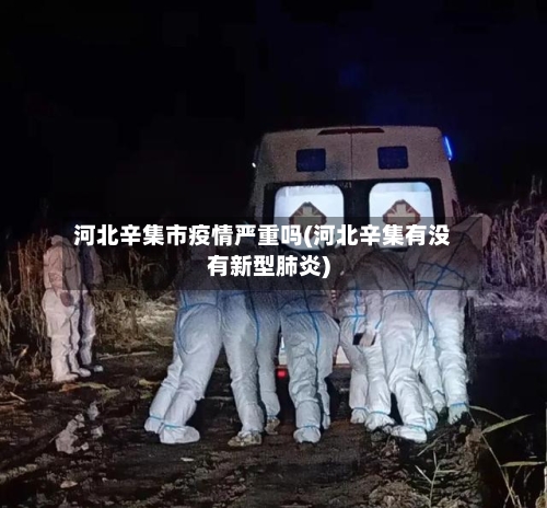 河北辛集市疫情严重吗(河北辛集有没有新型肺炎)-第2张图片