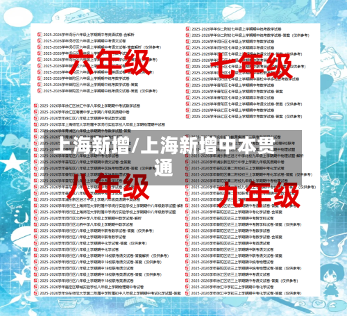 上海新增/上海新增中本贯通-第2张图片