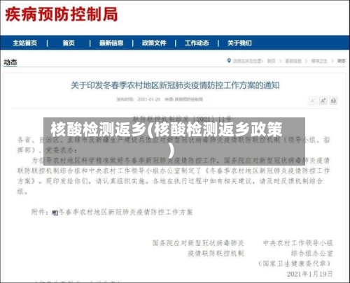 核酸检测返乡(核酸检测返乡政策)-第2张图片