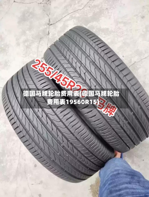 德国马牌轮胎费用表(德国马牌轮胎费用表19560R15)-第1张图片